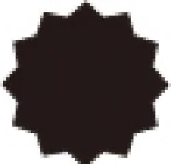 ＊＊5PCS　12角ビットセット